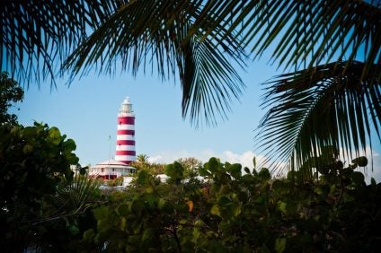 Throw the bushes view of lighthouse at elbow cay Abaco